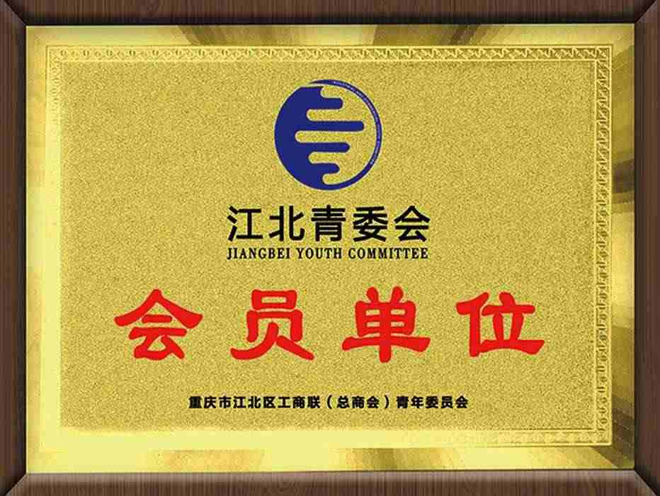 重慶市江北區工商聯青年委員會(會員單位)